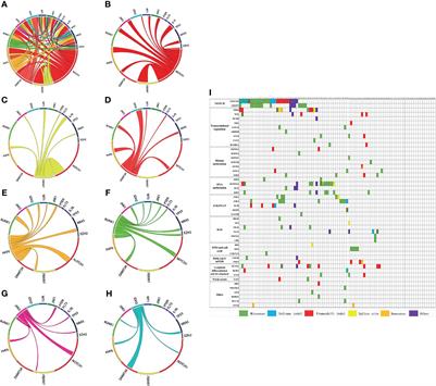 Prognostic Significance of Comprehensive Gene Mutations and Clinical Characteristics in Adult T-Cell Acute Lymphoblastic Leukemia Based on Next-Generation Sequencing